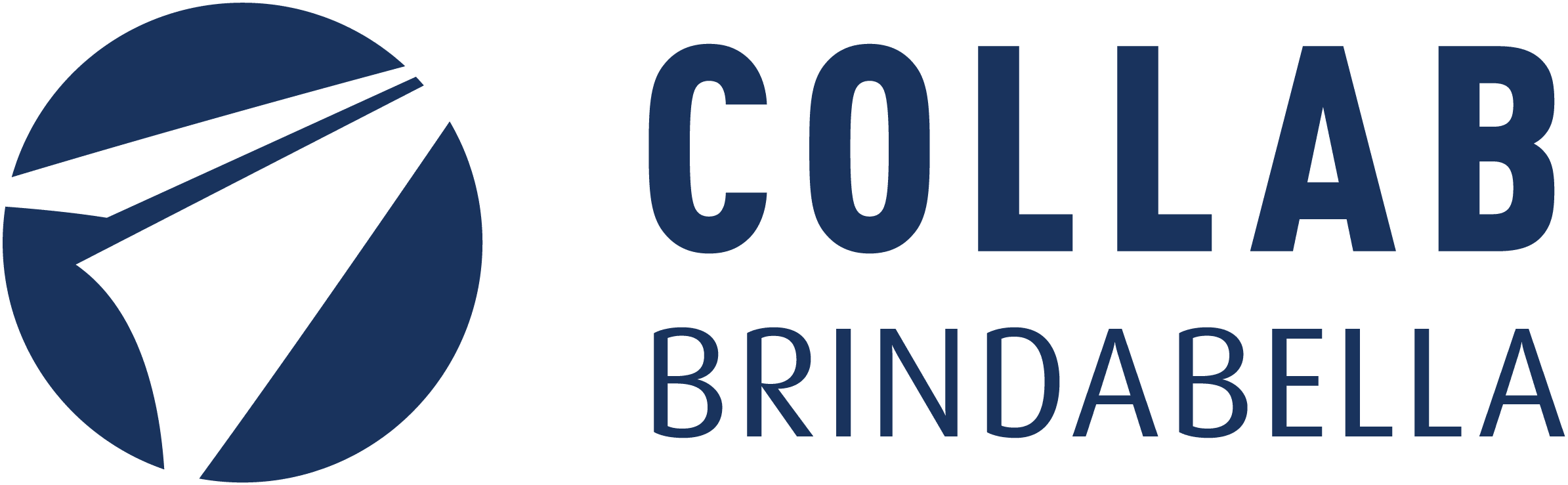 logo navy